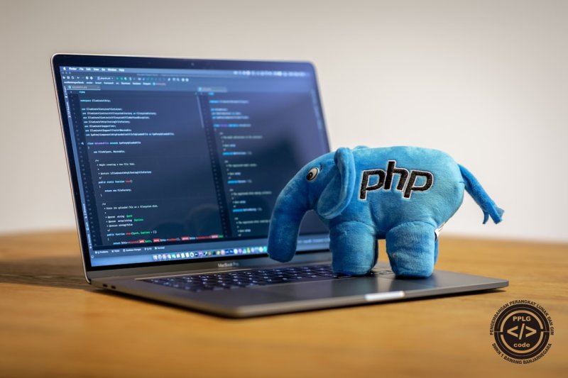 Menguasai Logika Program PHP: Panduan Lengkap IF, ELSE, ELSEIF, dan Switch Case