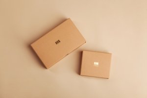 Mahir Mengelola Dependensi Node.js dengan NPM: Panduan Lengkap untuk Developer