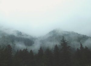 Bikin Aplikasi iOS Pertamamu: Panduan Lengkap Setting Xcode & Proyek Baru (Dijamin Anti-Ngelag, Langsung Ngacir!)