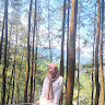AFIFAH KIRANA PUTRI AKL3 2024 20169