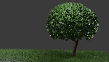 3D POHON