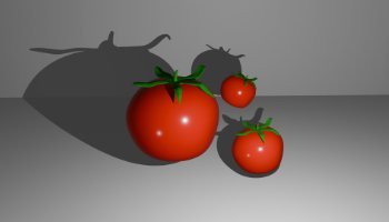 3D Tomat Aset Game AR