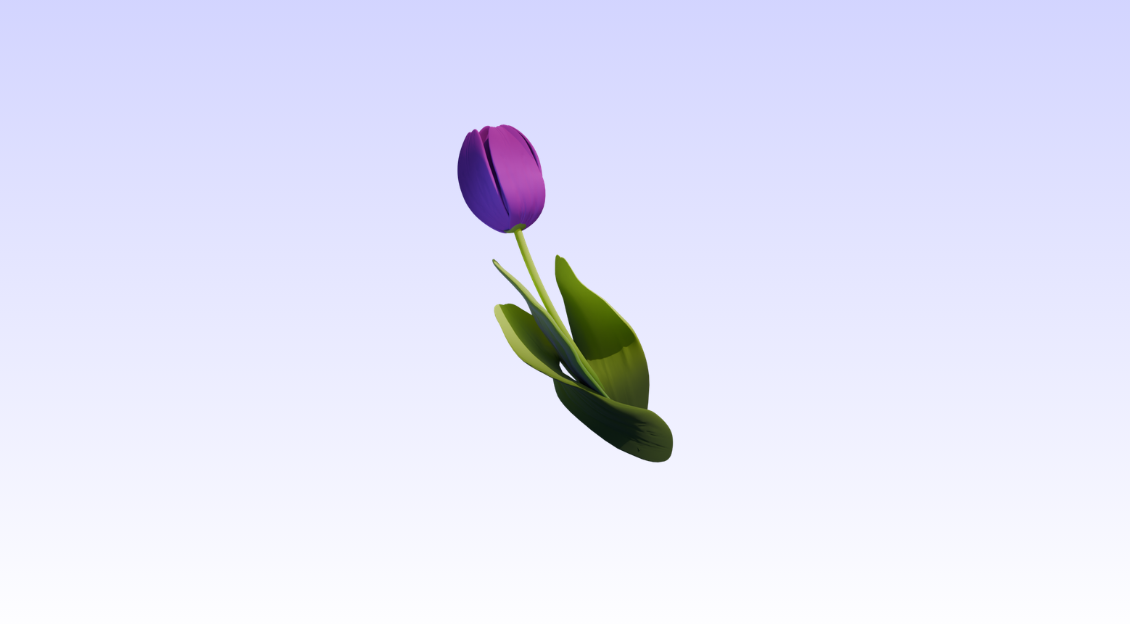 3D a Purple Tulip - Blender