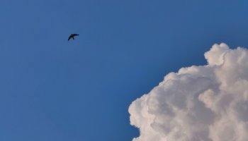 A Calm Sky