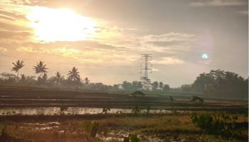 A Memory From The Village