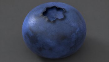 Blueberry 3D Art Made in Blender
