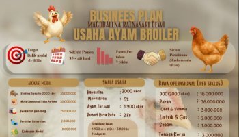 Business Plan Usaha Peternakan Ayam Broiler
