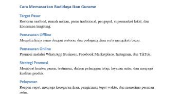Cara Memasarkan Rencana Bisnis Modal 90JT Tugas PKWU