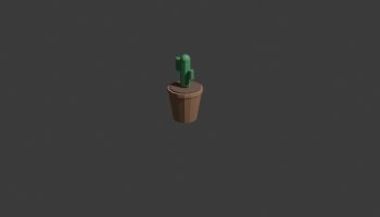 Desain Kaktus Dalam Pot Minimalis