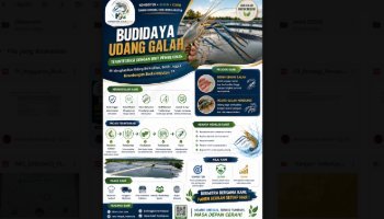 Flayer Usaha Ternak Udang Galah