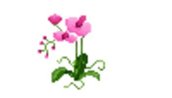 Gambar Pixel Bunga Anggrek Pink