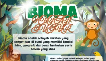 infografis bioma hutan gugur IPAS