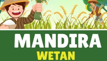 Infografis tentang Desa Mandiraja Wetan