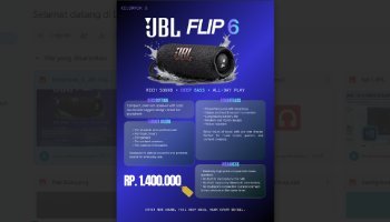 JBL FLIP 6 Marketing Infographic