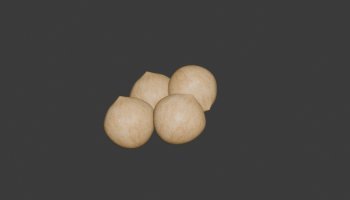 Karya 3D Rempah Rempah Kemiri