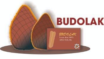 LOGO BULDOK "Bula Dodol Salak " pplg 2