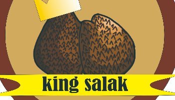 LOGO DODOL SALAK MONICA HADIMANSYAH