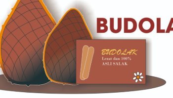 LOGO GUIDELINE " BUDOLAK Bula Dodol Salak "