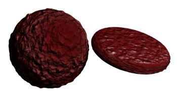 Material Daging Mentah - Portofolio #81