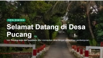 MEMBUAT WEBSITE DESA PUCANG INDIVIDU