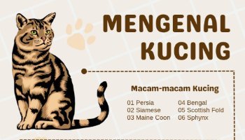 Mengenal Lebih Dalam Tentang Kucing