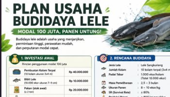 Modal 100.000.000 Membuat Usaha Perternakan Lele