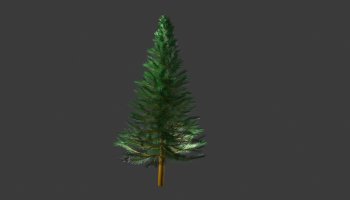 Model Pohon Cemara Realistis 3D