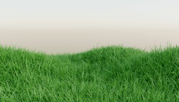 Modeling Padang Rumput 3D Blender