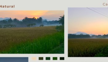 Natural Post Fotografi. Nature is beauty