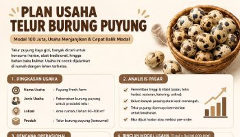 PKWU PLAN USAHA TELUR BURUNG PUYUH