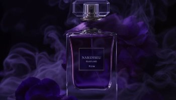 presentasi rapat pt tols parfum