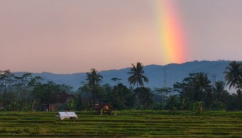 Rainbow Landing