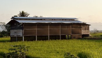 Random Pict #3 - Sawah Di Sore