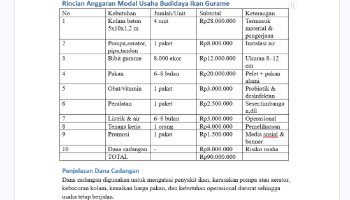 Rincian Anggaran Rencana Bisnis Modal 90JT Tugas PKWU