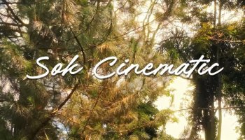 Sok Cinematic 4