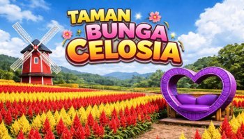 Taman Bunga Celosia