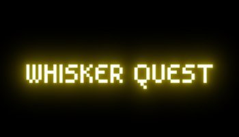 Trailer Game 2D Whisker Quest