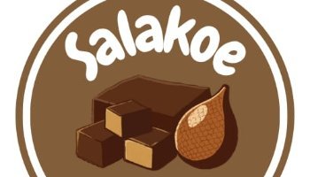 TUGAS LOGO GUIDELINE DODOL SALAK LAYLA NUR FARISHA