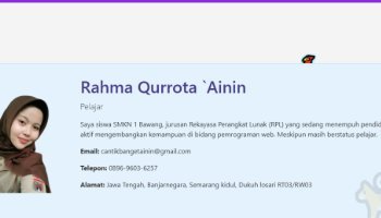 WEB CV