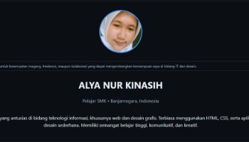 Web CV git